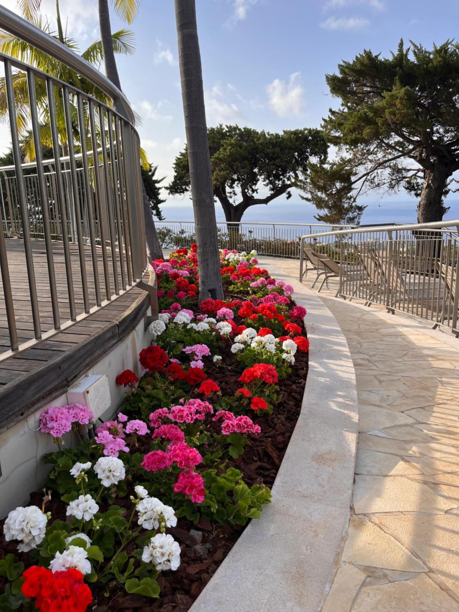 Quinta Funchal Gardens - Adults Only Hotel ภายนอก รูปภาพ